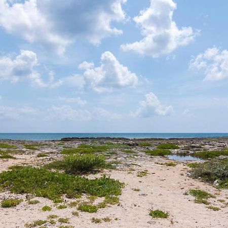 Ground Level Garden Condo At Akumal South By Tao Santamar Esterno foto