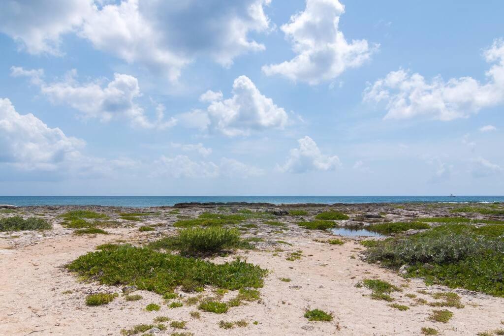 Ground Level Garden Condo At Akumal South By Tao Santamar Esterno foto