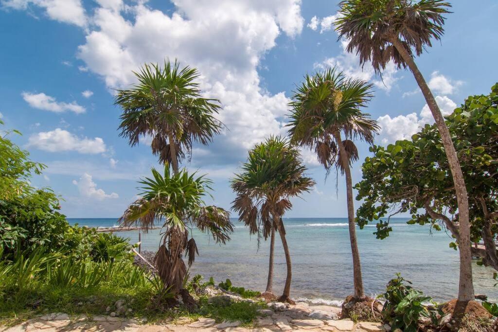 Ground Level Garden Condo At Akumal South By Tao Santamar Esterno foto